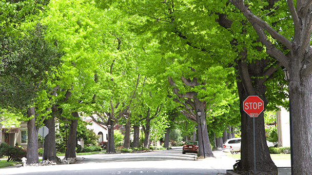 Envrionmental Project Profile San Fran Sideimage 608X341