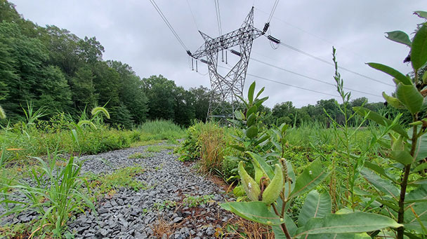 Public Service Electric Gas Sideimage 608X341