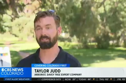 Taylor Judd