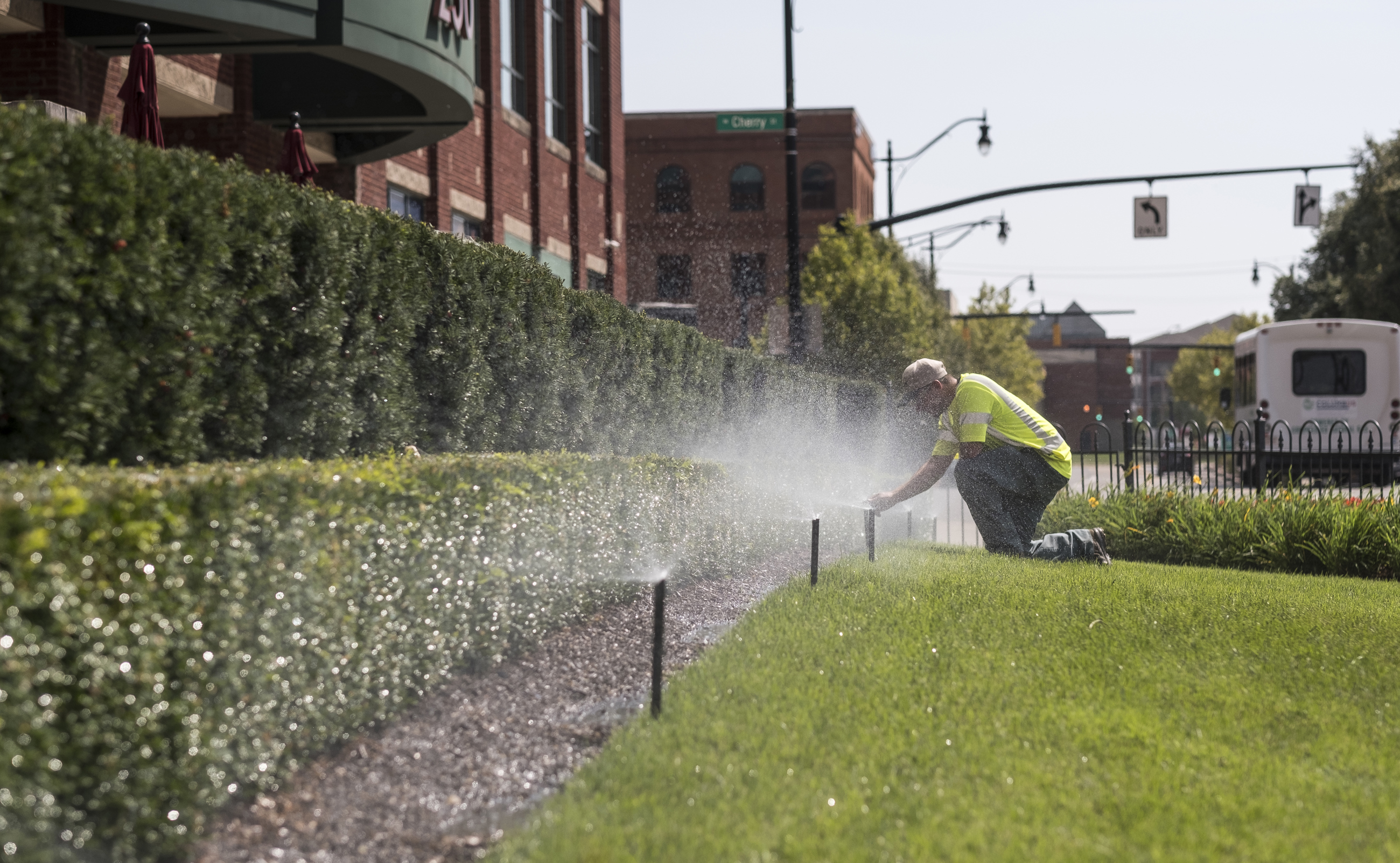 091119 Davey Tree Rh 704 (1)