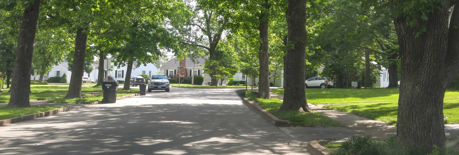 Tree Inventory Software for Urban Forestry | TreeKeeper® | Davey Tree