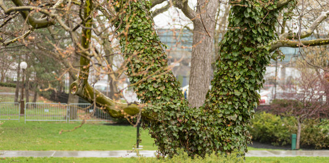 DSC 3420 4928X3280 E35ca0b