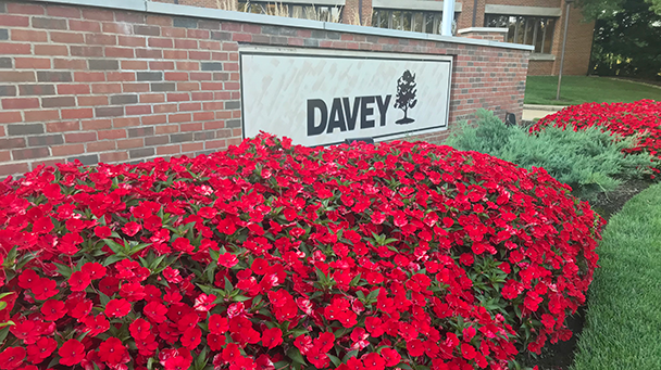 Commercial Blog How To Improve Your Business Curb Appeal With Landscape Enhancements Sideimage8 608X341