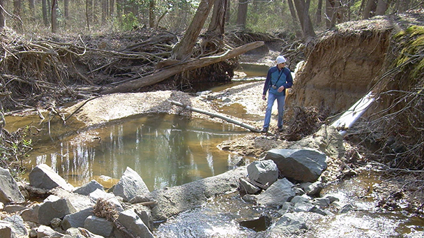 Project Profile Fairfax County Sideimage 608X341