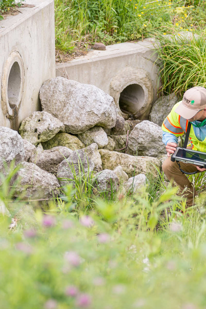 Stormwater Basin Inspection