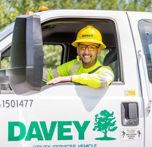 The Davey Tree Expert Company