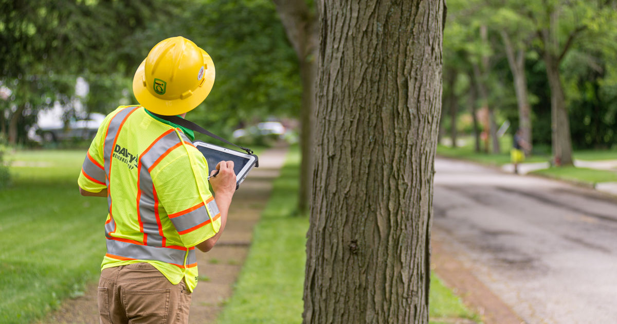 Tree Inventory Management Software | Davey Resource Group | Davey Tree