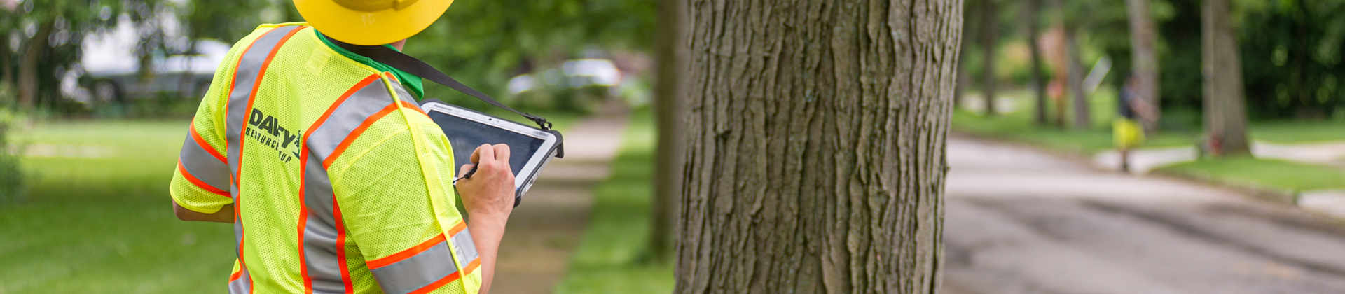 Tree Inventory Management Software | Davey Resource Group | Davey Tree