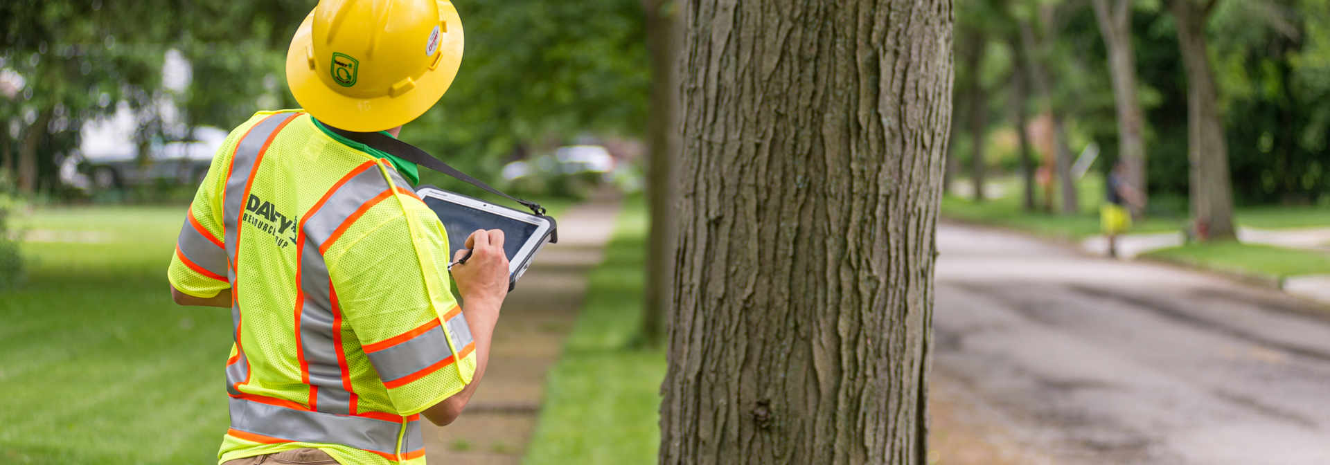 Tree Inventory Management Software | Davey Resource Group | Davey Tree