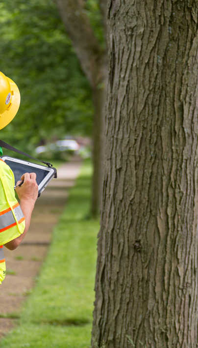 Tree Inventory Management Software | Davey Resource Group | Davey Tree