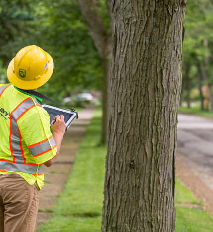 Tree Inventory Management