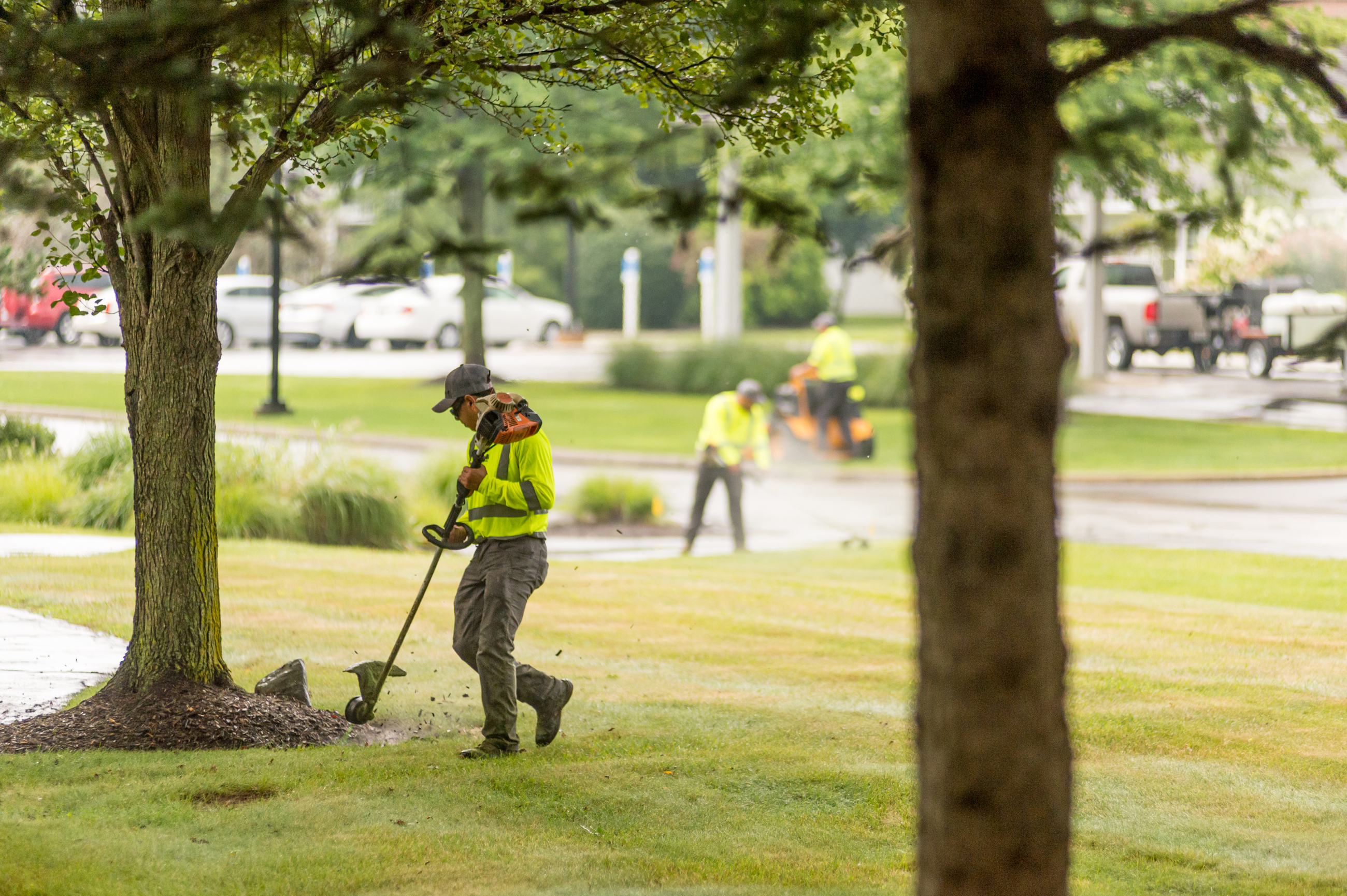 Commercial Turf care