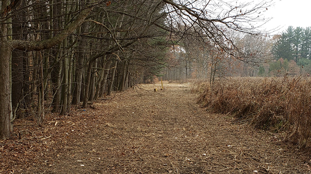 Mission Dominion Pipeline Project 3