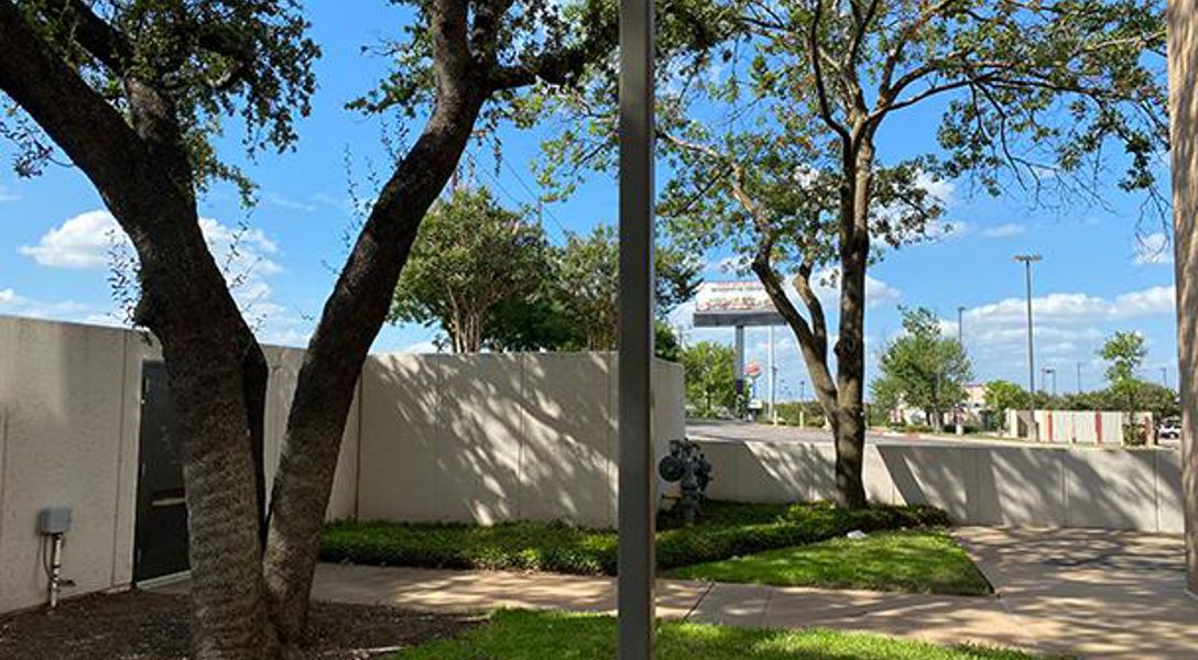 Tree Well Austin Tree Assessment & Tree Care Services For Integral Care, Austin, TX ...