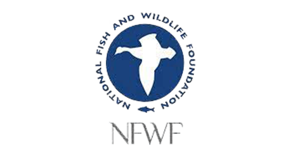 Nfwf