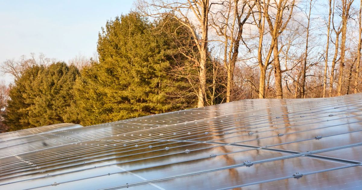 Exploring Vegetation, Agriculture and Solar Arrays | Davey Tree
