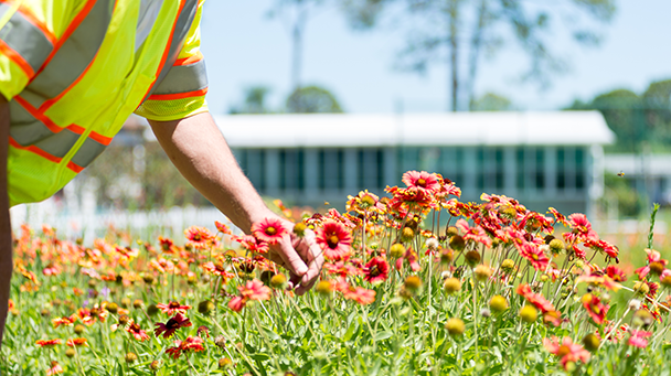 Laurel Lake Sideimage 608X341