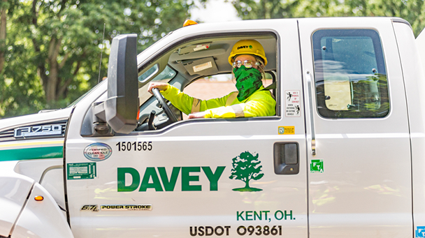 Isaias Sideimage2 608X341