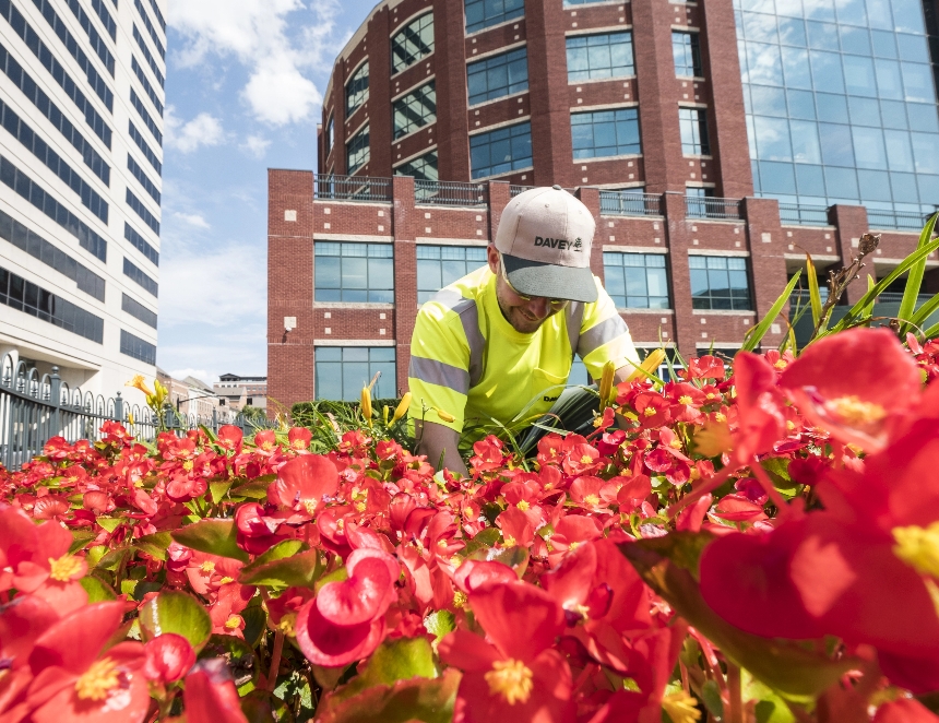 Arborist & Client (1)