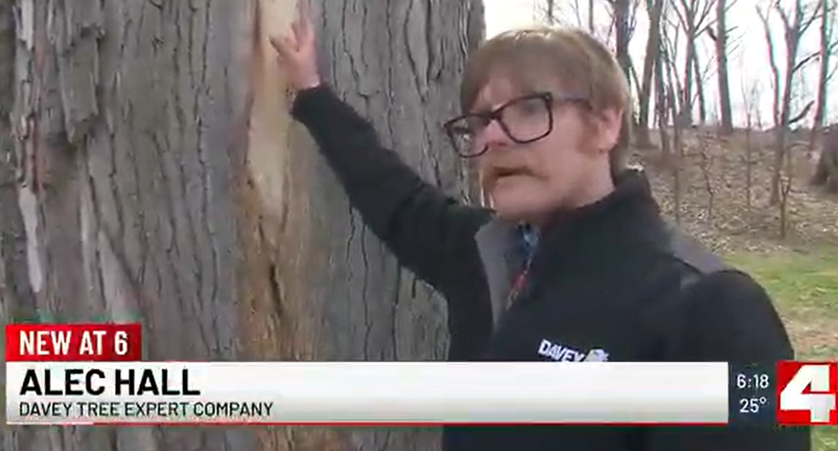 Screenshot 2026 03 31 125534