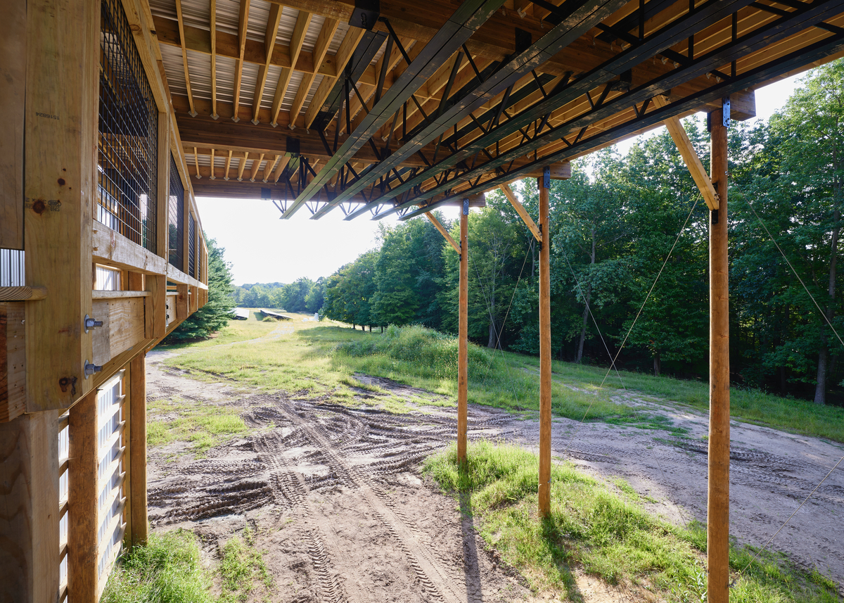 DI 0158 1200X857 Eb97591