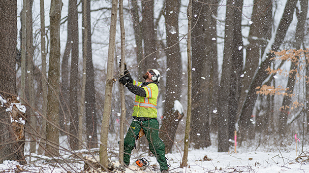 Commercial Case Study Stay Safe After Storm Sideimage 608X341
