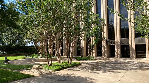 Project Profile Integral Tree Care Assessment Sideimage3 608X341