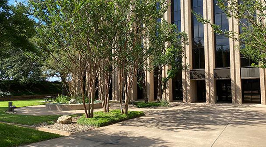 Tree Well Austin Tree Assessment & Tree Care Services For Integral Care, Austin, TX ...