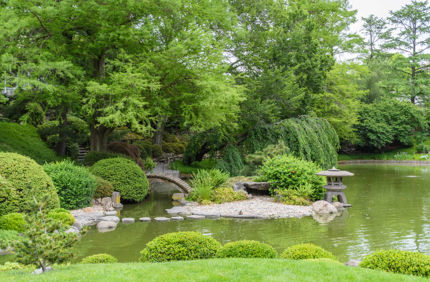 The Brooklyn Botanic Garden Has A Wide Variety Of Unique Species Not Often Found In Typical Urban Forest Tree Inventories