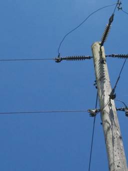 Glades Sideimage 256X341