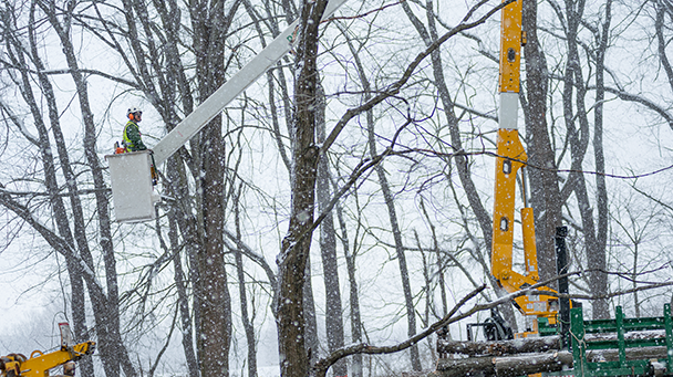 Commercial Case Study Stay Safe After Storm Sideimage2 608X341