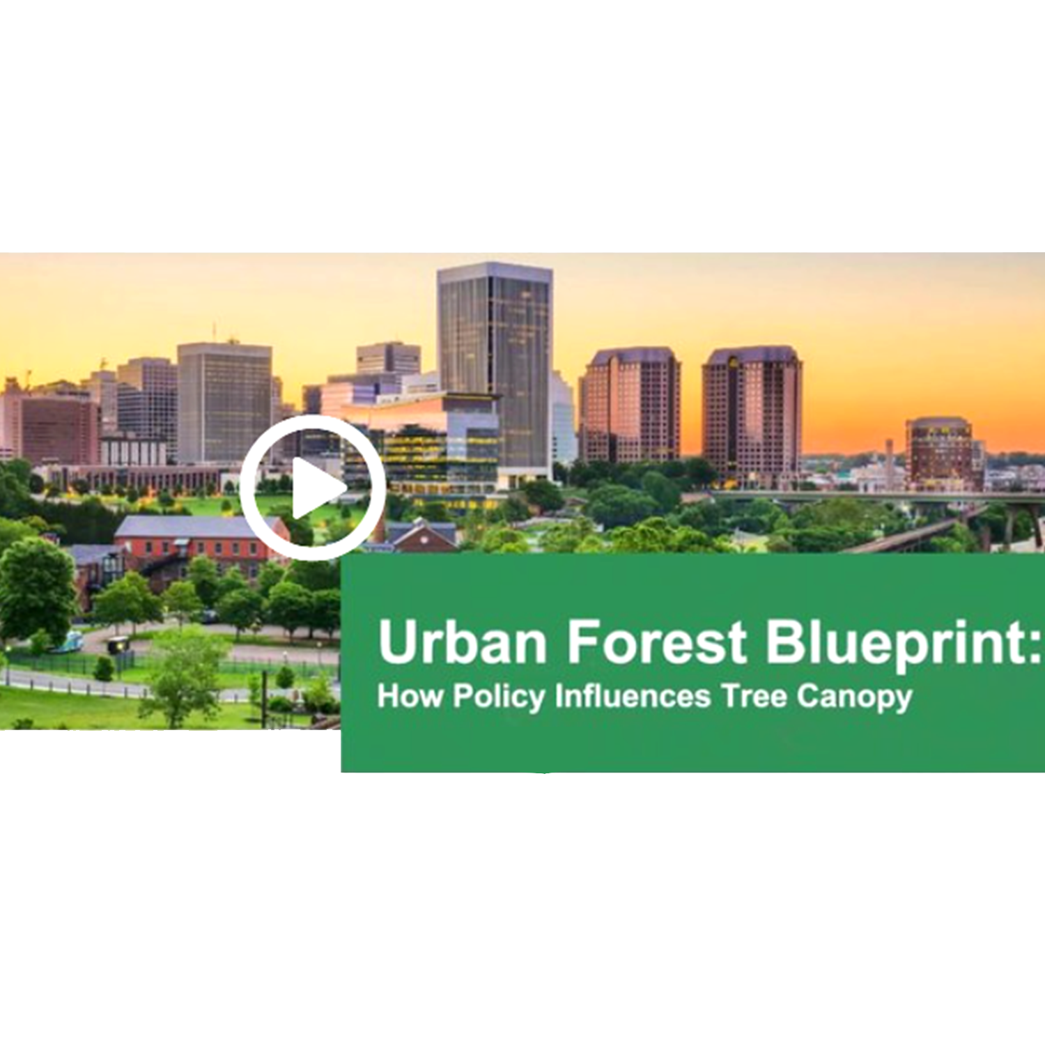 The Urban Forest Blueprint How Policy Influences Tree Canopy