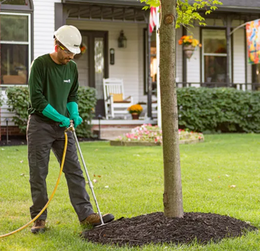 When To Fertilize Trees In Spring