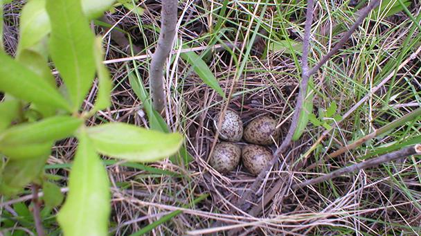 Project Profile Nj Route 52 Causeway Replacement Project Sideimage2 608X341