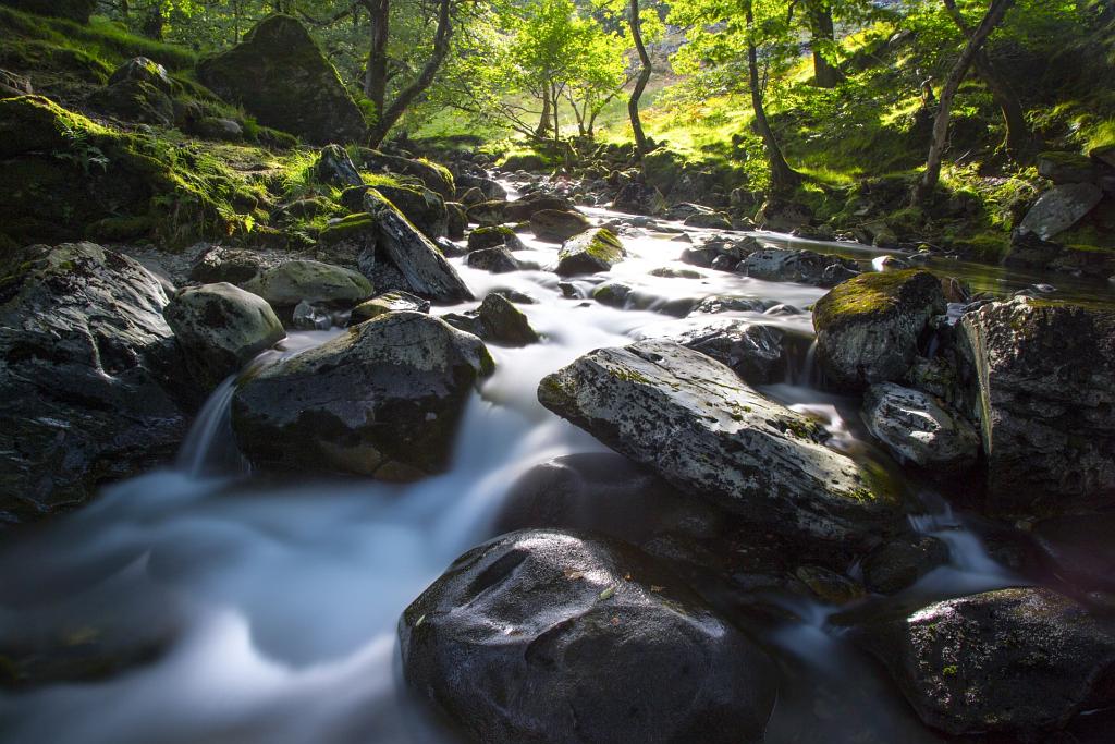 Water Stream Landscape