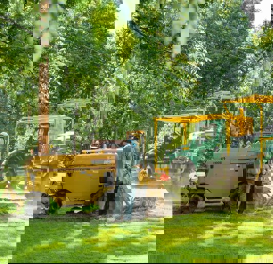 Spring Hill Tree Specialists Shrub Removal