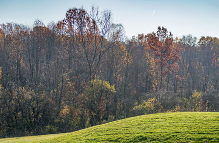 DSC 0216 4928X3280 E35ca0b (1)