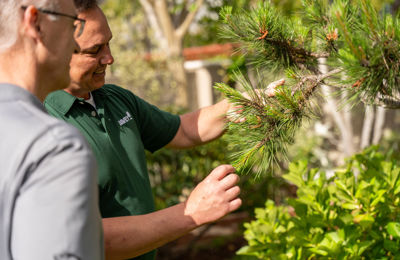 The Davey Tree Expert Company