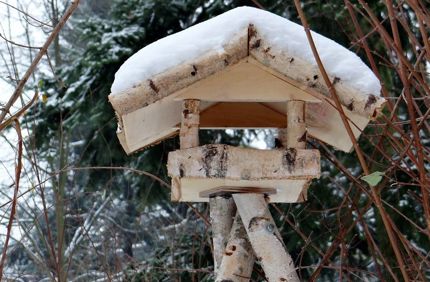 Bird Feeder