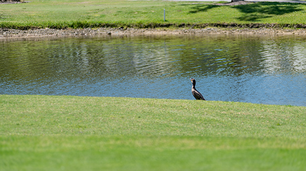 Laurel Lake Sideimage2 608X341