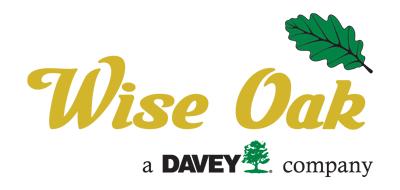 Wise Oak