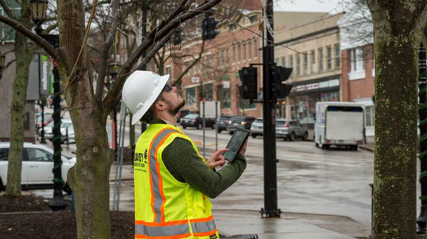 Project Profile Park Ridge Il Sideimage 608X341