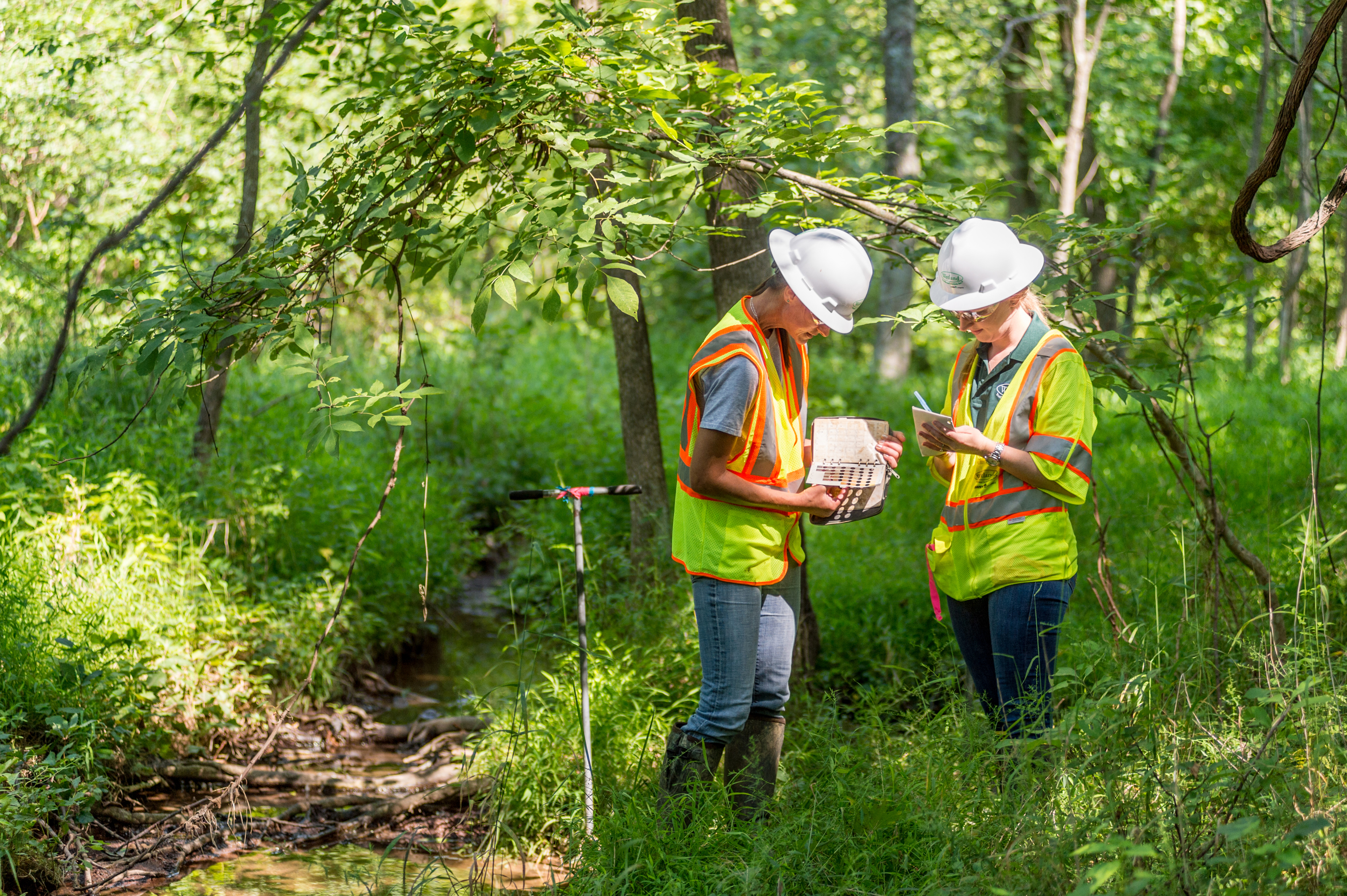 what is Watershed Planning