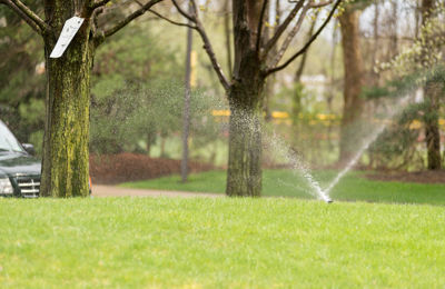 Irrigation Water Management
