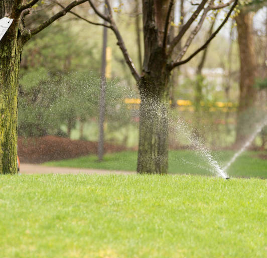 Irrigation Water Management
