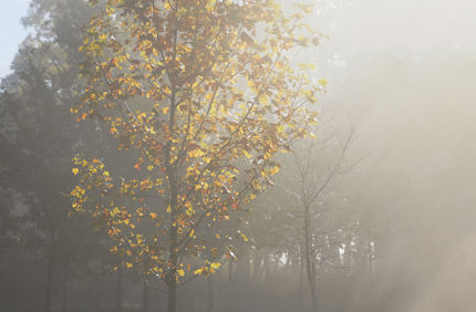 028A0968 4936X6170 428Be4f