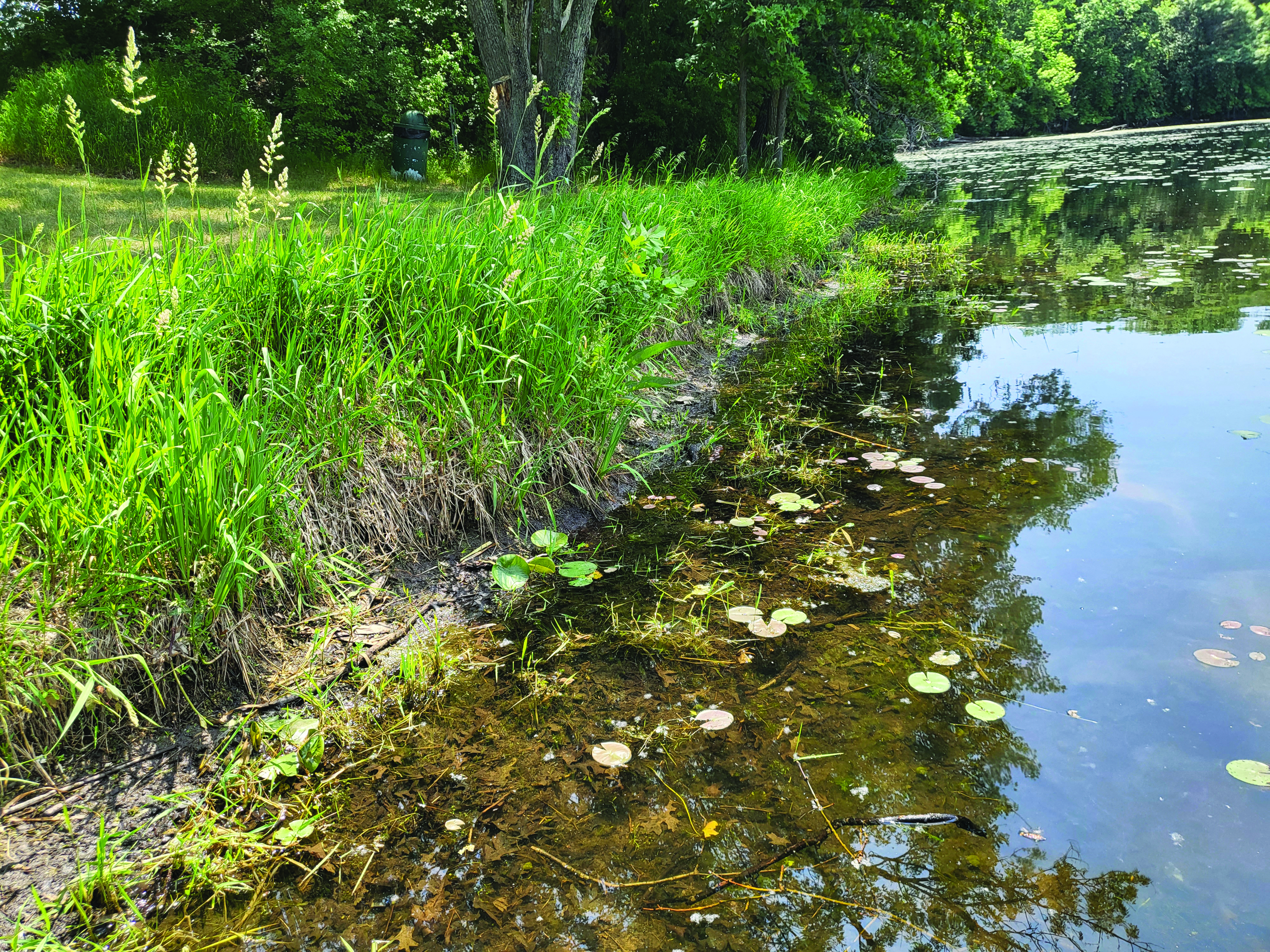 Lost Lake Shoreline Before Joe Hansen