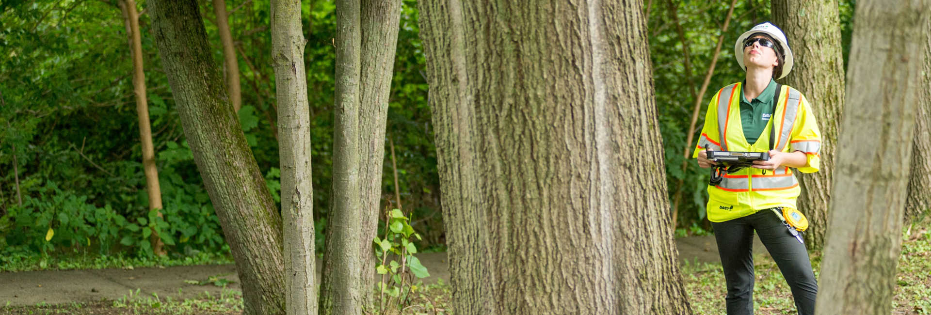 Tree Inventory@2X