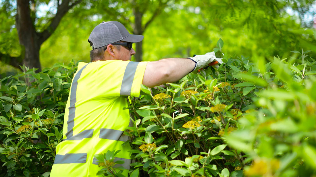 Grounds Maintenance & Landscaping Services At Abercrombie & Fitch In