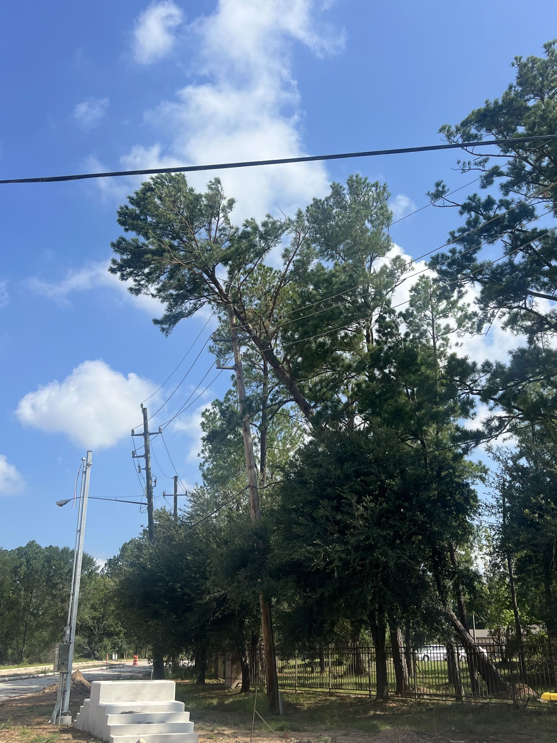 F8BEA6E9 9758 45B1 80F4 79A40BDE9D94 Copy